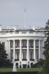 Fototapeta premium white house, washington dc