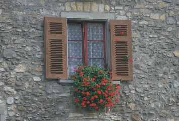 Fototapeta na wymiar fenster