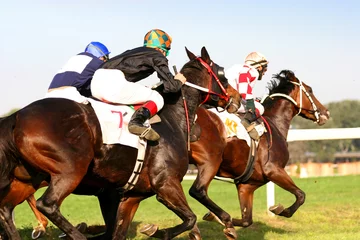 Photo sur Plexiglas Léquitation thoroughbred horserace