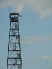 fire tower