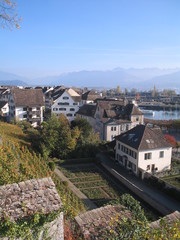 rapperswil...le vignoble