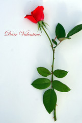 dear valentine