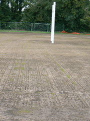 newly seeded rugby pitch