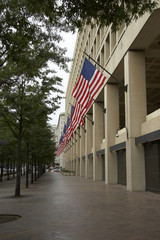 fbi with flags