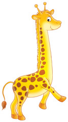 giraffe © Alexey Bannykh