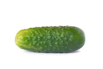 cucumber © Andrzej Tokarski