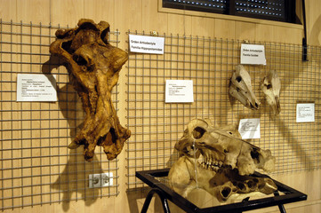 orce-200 © Paco Ayala