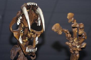 orce-207 © Paco Ayala