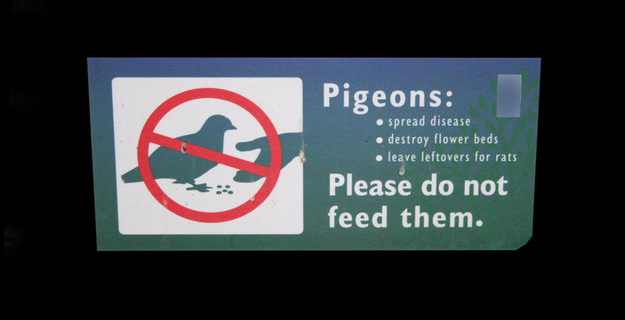 do not feed the pigeons sign