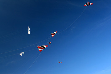 cerf volant