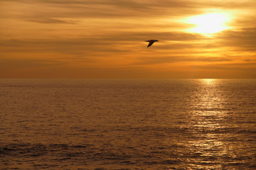 Plakat Odbicie zachód słońca nad morzem