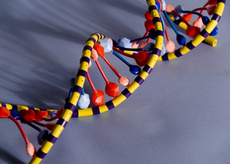 model of dna helix