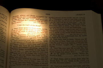 the light of the world -2