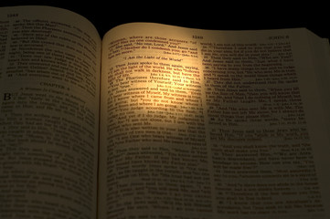 the light of the world -3
