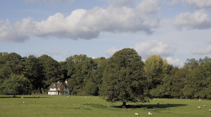 Obraz premium rural landscape