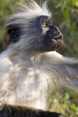 2005-08-30_16-34-59_f-0