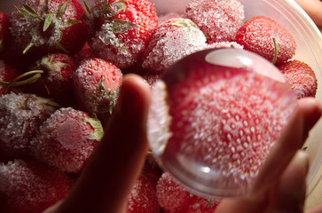 the strawberries