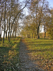 autumn park trail