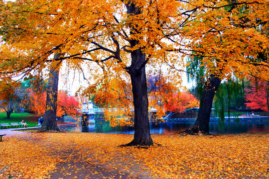 autumn in boston public garden