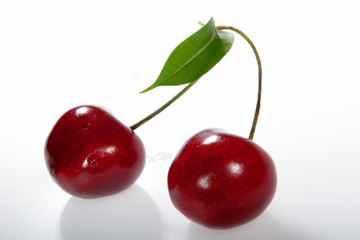 two cherries with shadows on a branch
