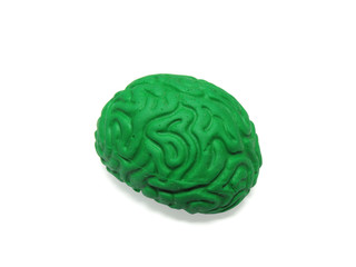 green brain model on white background