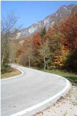 Fototapeta premium strada