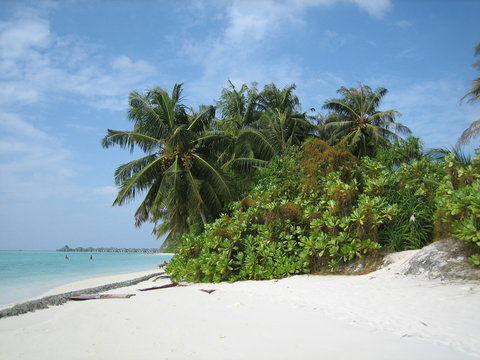 tropical island, paradise island