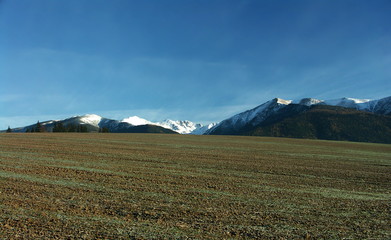 Fototapeta premium winterfrucht unter berge