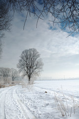winter