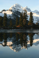 vertical mirror