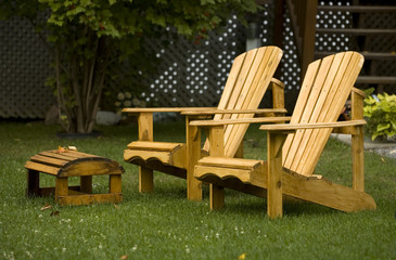 Fototapeta premium adirondack charis