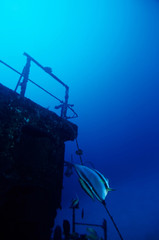 diving under water