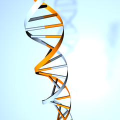 dna doppel helix