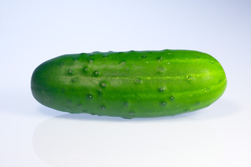 gurke ao_061016_3466.cr2