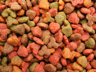 cats (dogs) food detail close-up