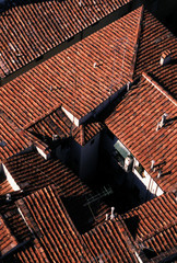 tuscan rooftops
