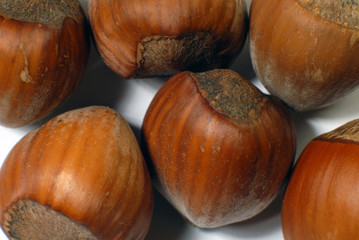 hazelnuts