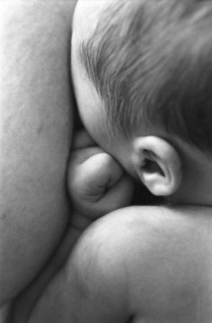 b&eacute;b&eacute; au sein