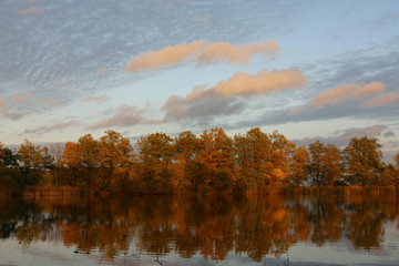 die spiegelung des herbstwaldes
