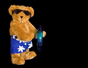 beach teddy bear