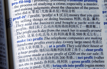 profit in chinese