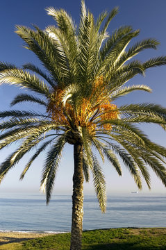 isla desierta