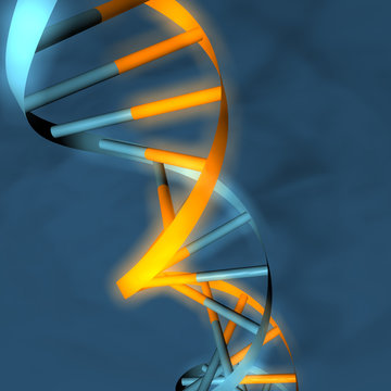 dna doppelhelix
