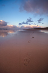 footsteps in the sand