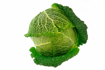 cabbage-4