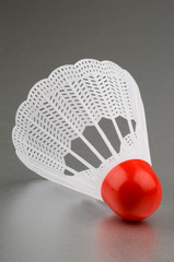 shuttlecock and badminton