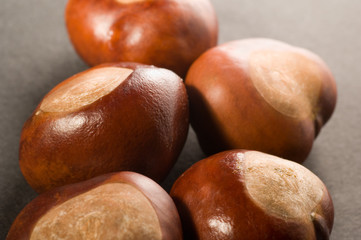conkers