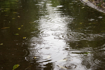 autumn dark rain