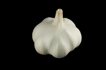garlic alpha
