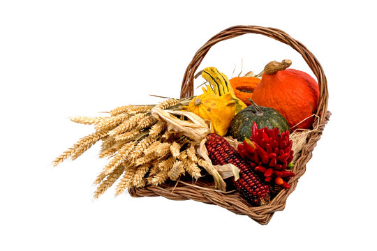 herbstfr&uuml;chte in korb